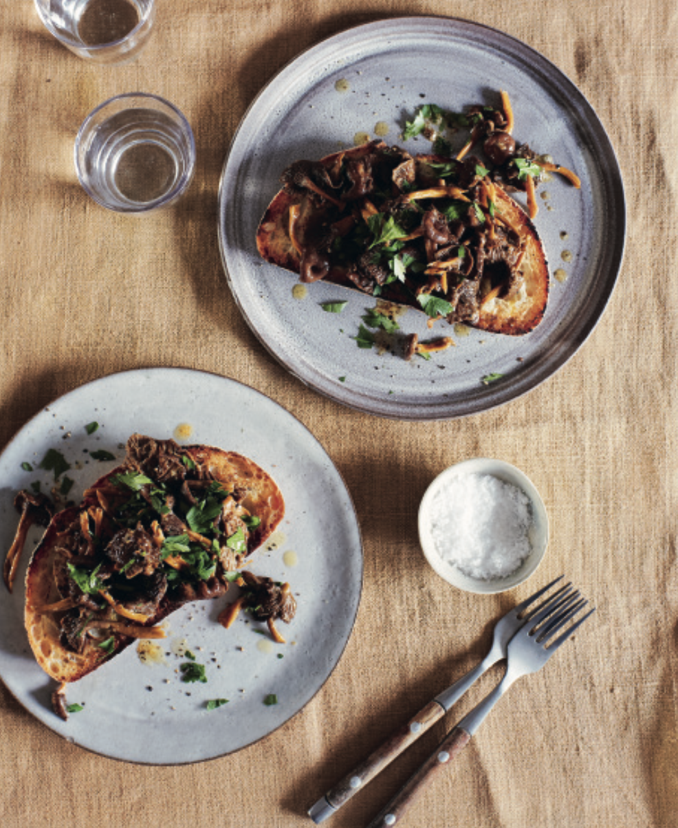 chanterelles on toast